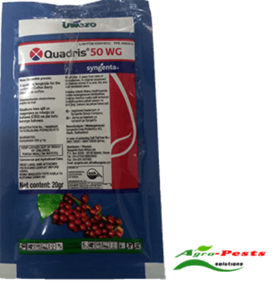Picture of Quadris