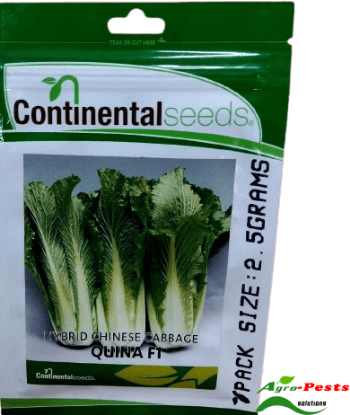 Picture of Quina F1 Chinese Cabbage