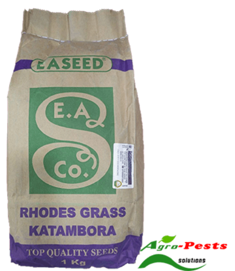 Picture of Rhodes Katambora