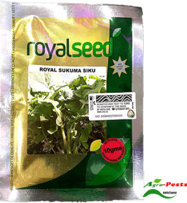 Picture of Royal Sukuma Siku