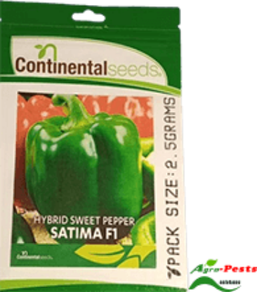 Picture of Satima F1
