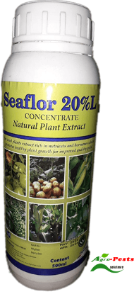 Picture of Seaflor 20_L