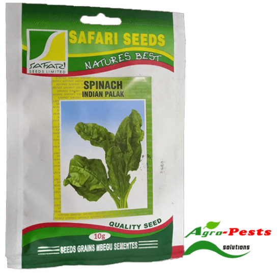 Picture of Spinach Indian Palak