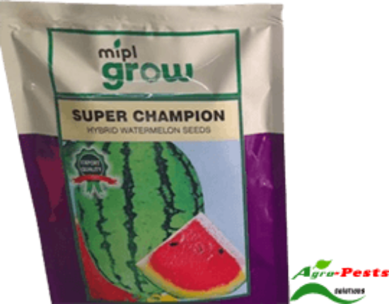 Picture of Super Champion