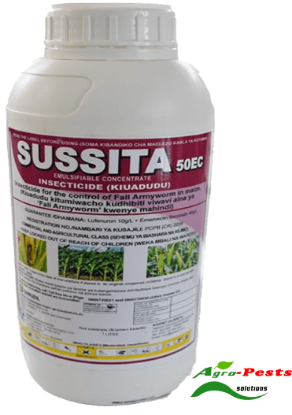 Picture of Sussita 1l