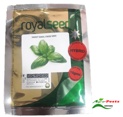 Picture of Sweet Basil CNGB 5003