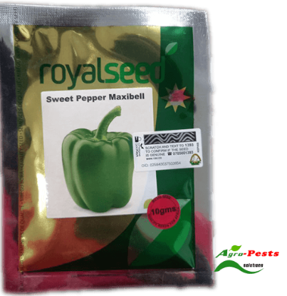 Picture of Sweet pepper maxibell