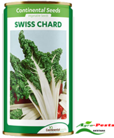 Picture of Swiss Chard Spinach