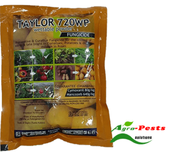Picture of Taylor 720WP