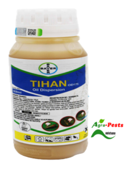 Picture of Tihan