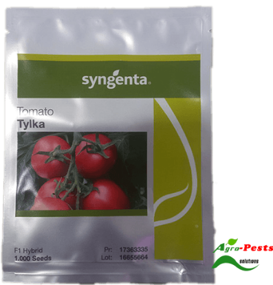 Picture of Tomato Tylka F1