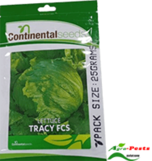 Picture of Tracy FCS Lettuce