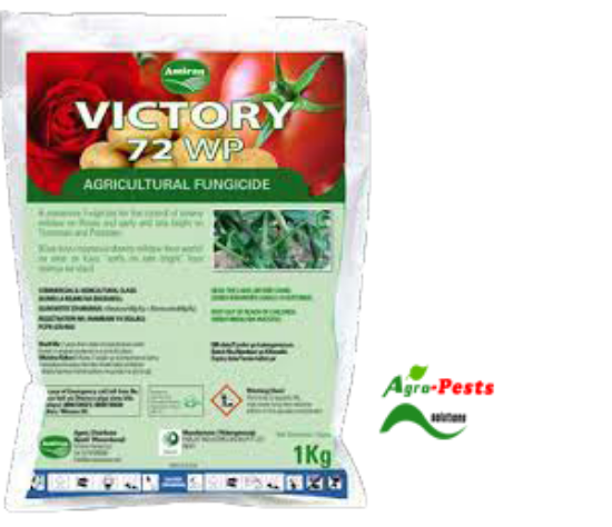 Picture of Victory