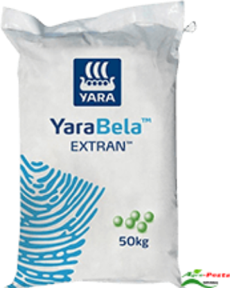 Picture of Yarabela Extran