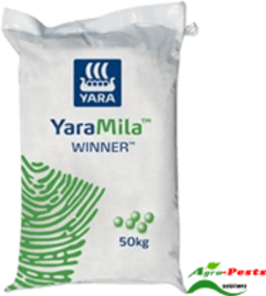 Picture of YaraMila Winner
